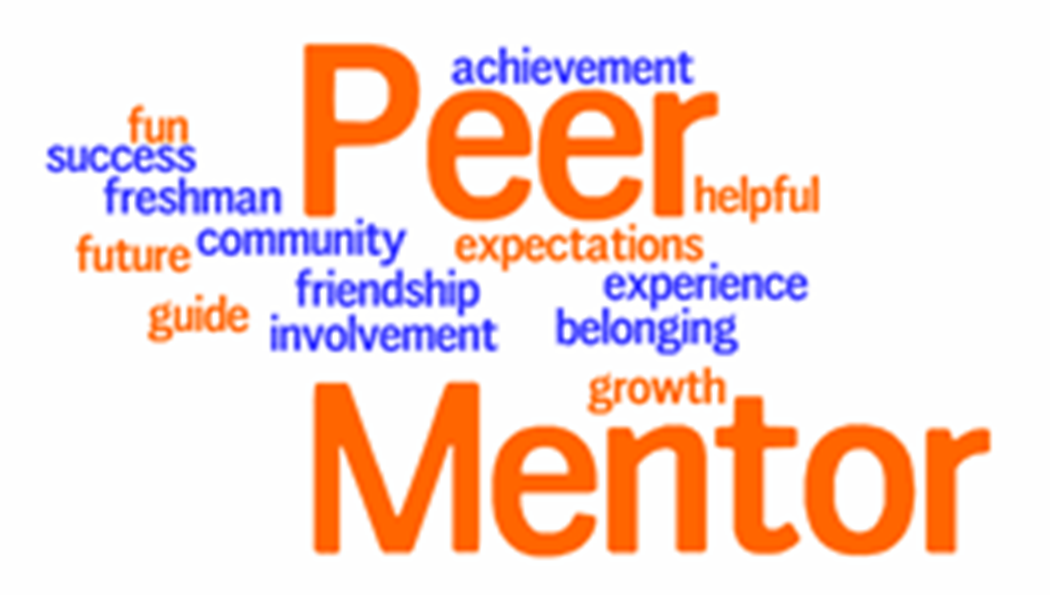 Peer Mentor